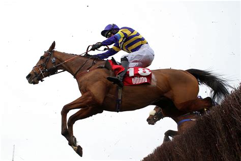 corach rambler horse odds|corach rambler news.